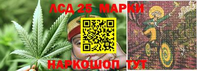 ешки Кингисепп