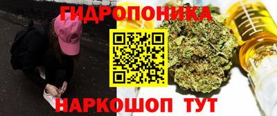 стафф Кинель