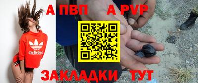 jwh Кимры