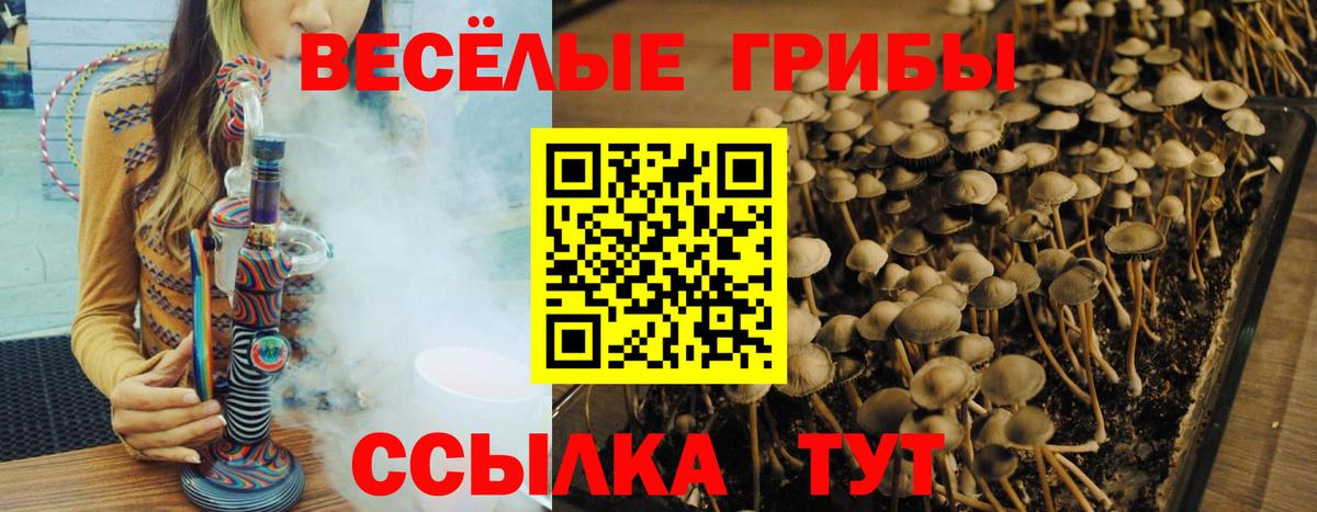 Галлюциногенные грибы Psilocybine cubensis  Галлюциногенные грибы GOLDEN TEACHER  Вход с VPN  Кушва 
